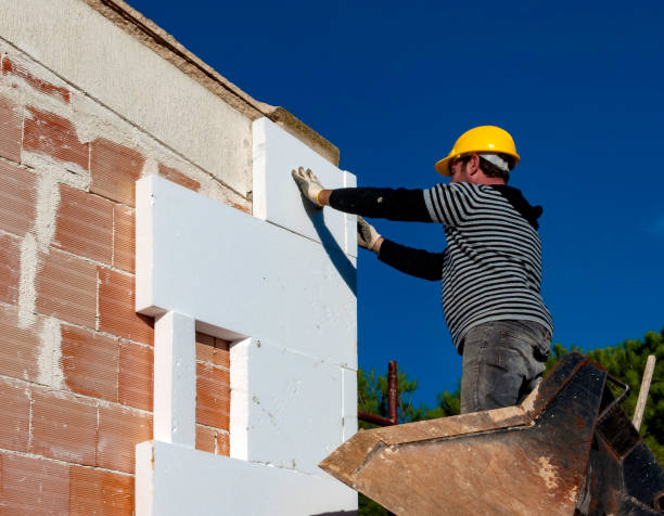 Best Types of Insulation in Town N Country, FL