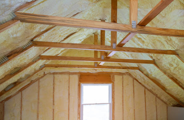 Best Insulation Materials and Products in Town N Country, FL