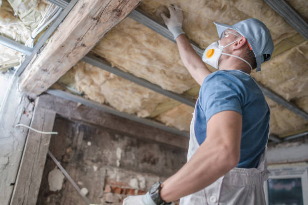 Best Insulation for Specific Applications in Town N Country, FL