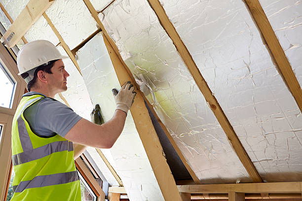 Best Commercial Insulation in Town N Country, FL